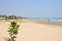 The beach.